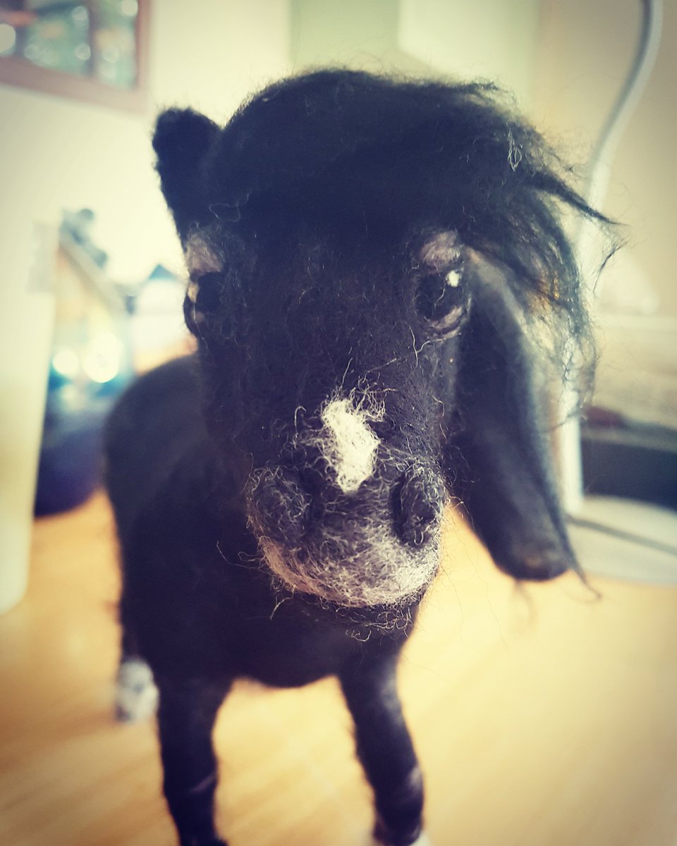 ElizaActy1's tweet photo. 🐴
#needlefelt #firstpony #fluffy #handmade #bitcute #needlefelting https://t.co/ERPtO1Hrj1
