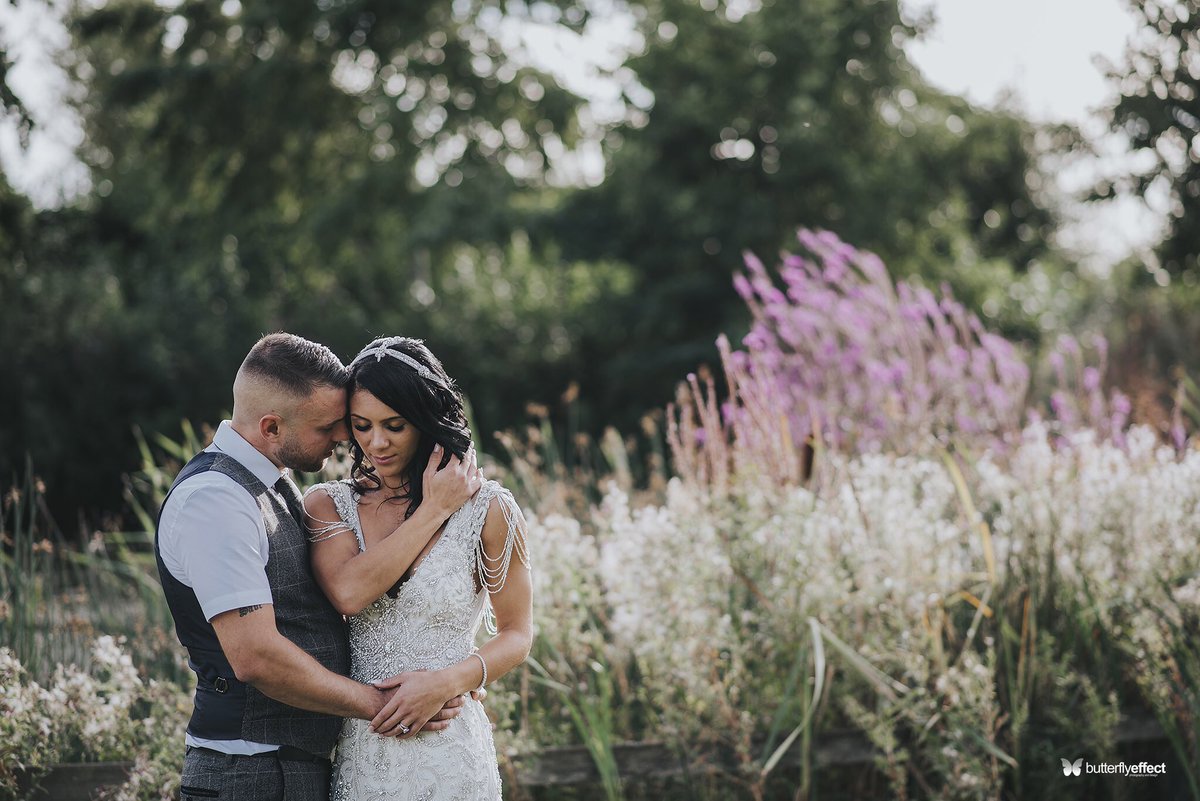 butterflyeffect tweet media