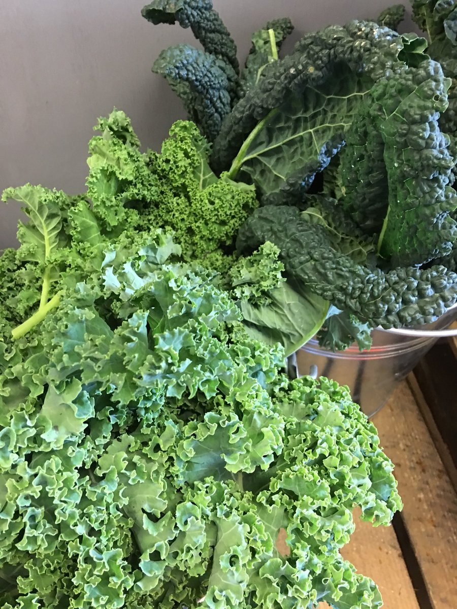veginthe's tweet photo. Luscious greens #organic #shoplocal #HealthyEating #Launceston https://t.co/uULz3K4gPZ