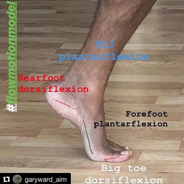 Awesome post from @garyward_aim, bucking the conventional thinking in his latest post. Discussions about mechanics and joints often stop at the ankle. #flowmotionmodel is opening our eyes to the incredible world of full body mechanics 🙌🏼 ift.tt/2p78x7h