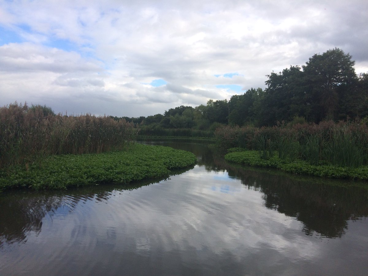 SamL_Kerr92's tweet photo. Itβs the end of my first week as a Countryside Ranger and I decided to go for a run around one of my new sites - Fleet Ponds which is a SSSI site and I wasnβt disappointed π
Also, think I found a Spectacular Rustgull as well!
@Britnatureguide #FleetPonds #SSSI #FungiFriday https://t.co/KtB2mnF5gC