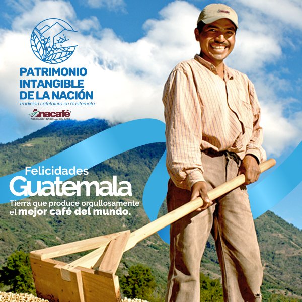 CafedeGuatemala's tweet image. ¡Felicidades, Guatemala! Celebramos 197 años de independencia de esta maravillosa tierra del café. ☕️🇬🇹

#unidosencafégt #CafédeGuatemala #PatrimonioCultural