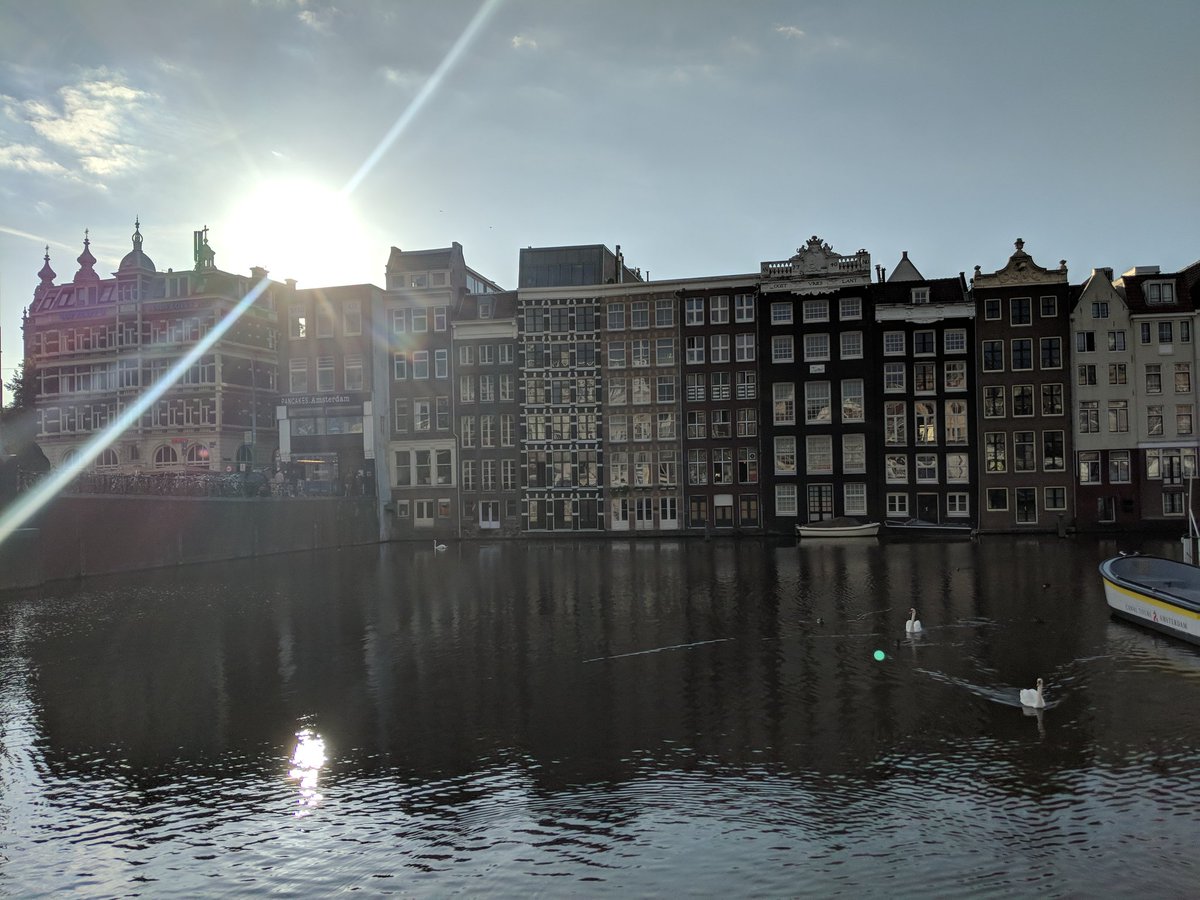 Foxos modern life tweet media