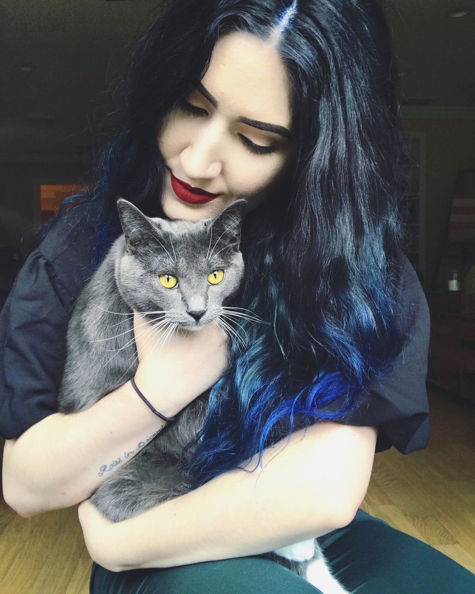 KD Alchemy tweet media