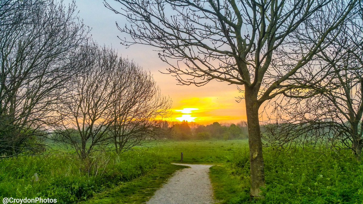 Sunrise at South Norwood Country Park

#throwback #2016 #morning #sunrise #path #explore #disconnect #sky #green #blue #orange #diverse #natural #gallery #beauty #trees #outdoors #greenspace #digital #photography #Samsung #s8plus #London #Borough #Croydon #croydonphotos