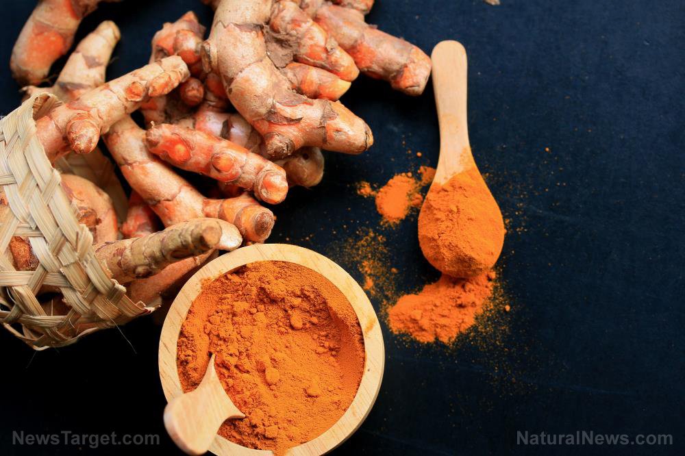 HolisticMedDir's tweet photo. How does turmeric compare to OTC drugs? Research shows it’s superior in every way - 09/13/2018 / By Vicki Batts
https://t.co/dcUnJWoT7D https://t.co/oqOT3xN0iW