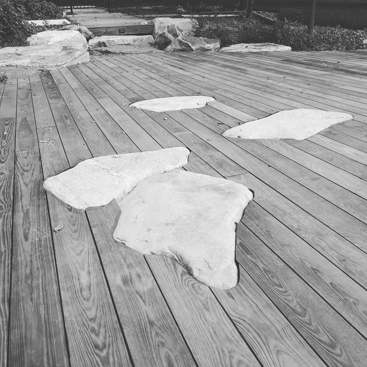 CFPWoods's tweet photo. Stone structure meets deck structure. Together they make a beautiful thing!
#deckdesigns #deckstructures #patinagrey #wooddecking #landscapedesign #thermallymodified #landscaping #ontario #canada #toronto #guelph #kichener #backyard #architects #designers #ash #stone #torrified https://t.co/Q2oVoMFkWN