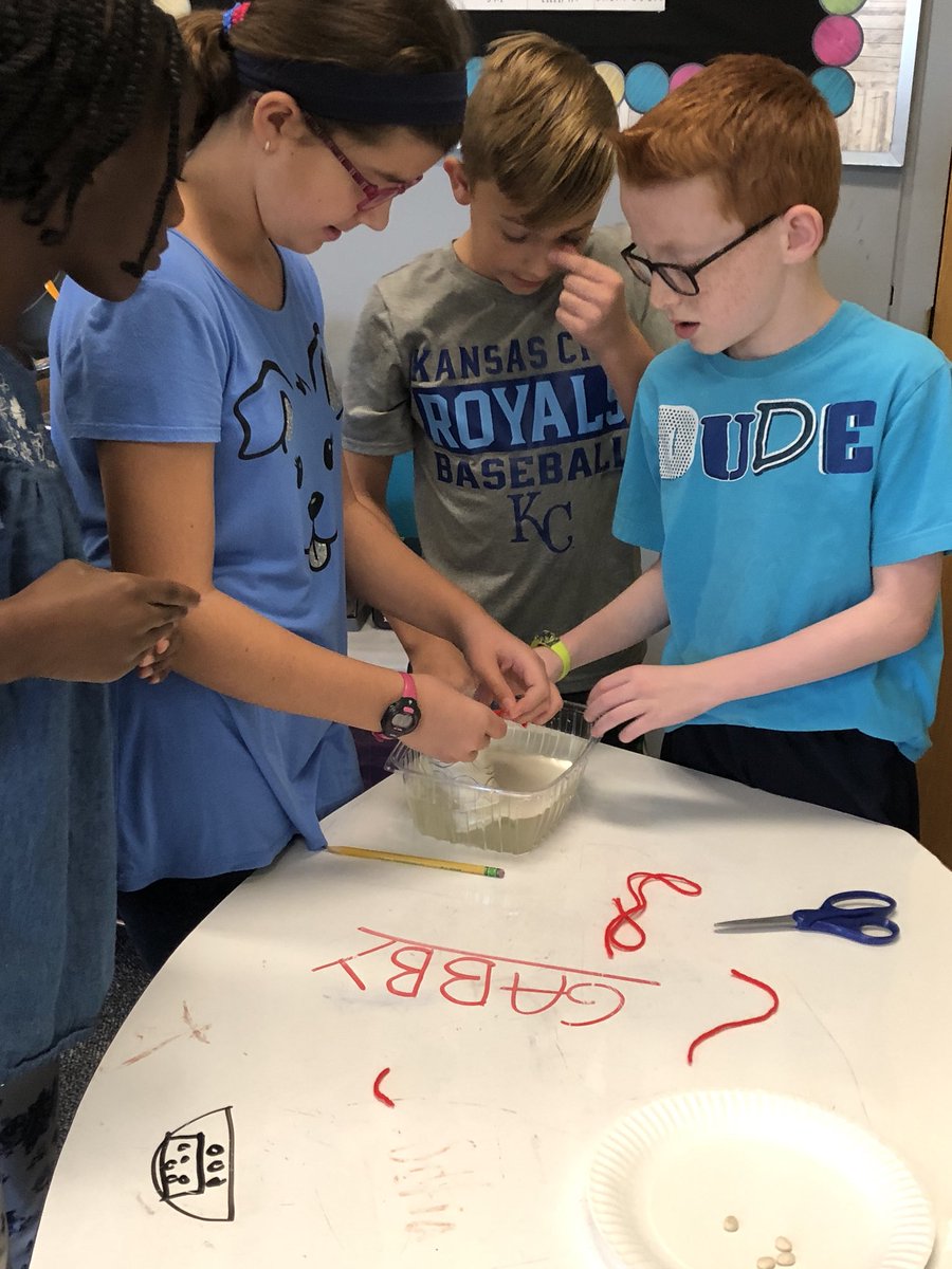 MrsSpriggsHRT's tweet photo. Hydroponic systems from individual designs to collaborative designs to actual creation. #bringingsciencealive https://t.co/cx0Nezwou0