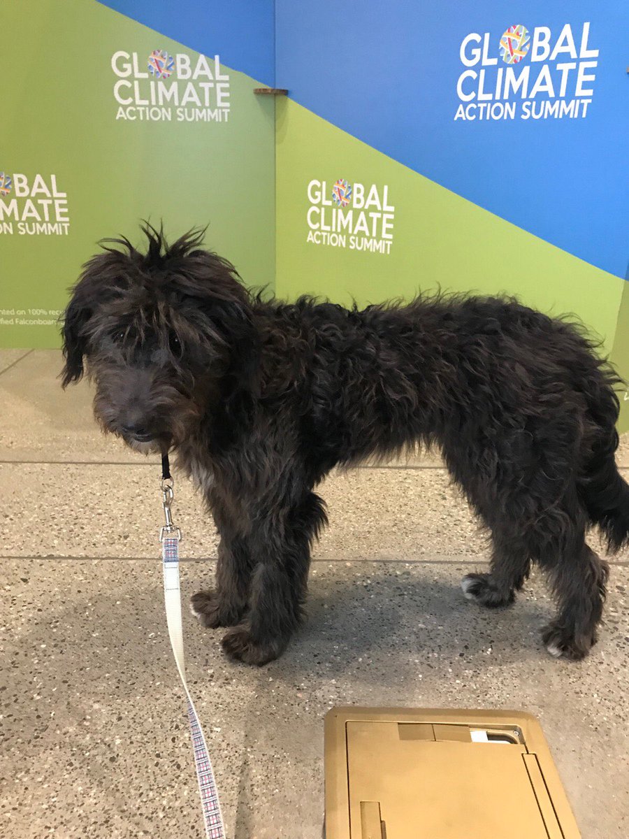 Colusa Brown tweet media