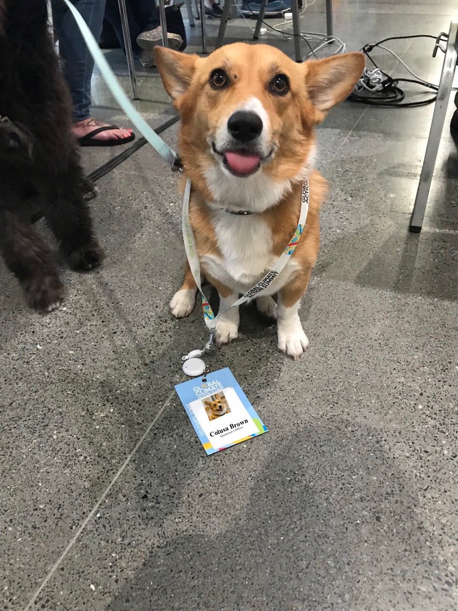 Colusa Brown tweet media