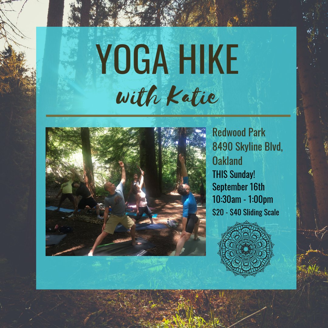 leftcoastpyoga's tweet photo. Yoga Hike and Partner Yoga this weekend! - https://t.co/ceWK4ff6LC https://t.co/rjVSsXPyet