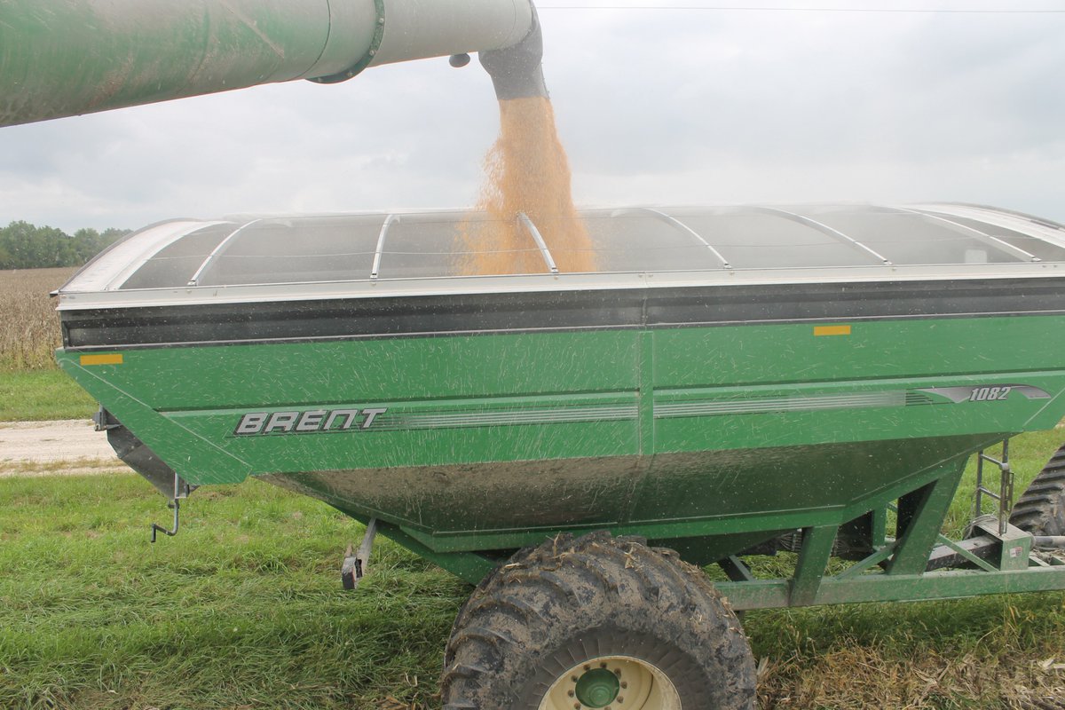 iolaregister's tweet photo. Photos: Allen County farmer Shawn Geffert let Register reporters tag along as he cut corn on a cloudy Thursday afternoon. The harvest is just kicking into high gear. Check out Bob Johnson's article in tomorrow's Weekender.

#harvest #farmlife🚜 #iola #allencounty #ag #aglifestyle https://t.co/f34jwe7uAt