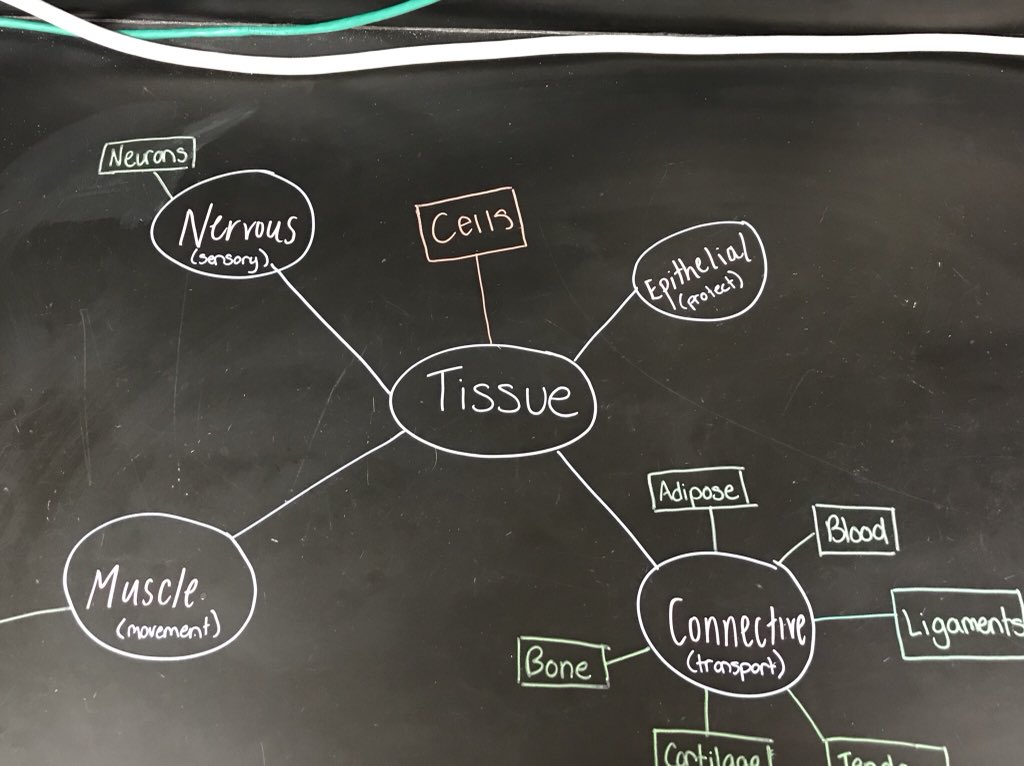 bioshemesh's tweet image. Whiteboard tables, shmiteboard tables! @Razzles727 all you need is #ChalkMarkers and a black countertop!