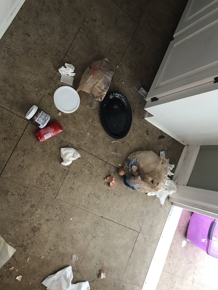 nolapups's tweet photo. I reverted back to puppy stage today and invaded the trash can. #LabProbs https://t.co/EsUwUW553x