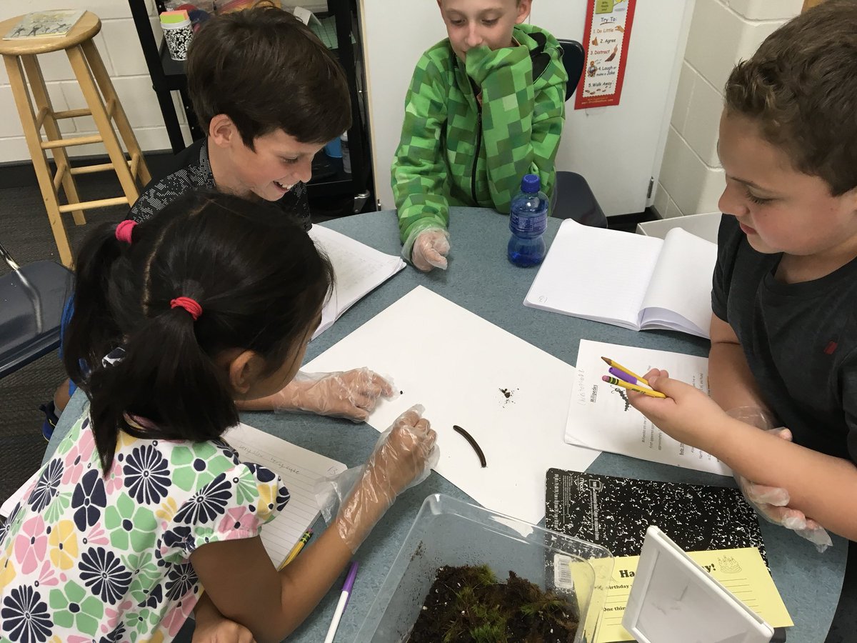 TeamMrsMoser's tweet photo. The millipedes have landed! #creepycrawlies #animalstudies https://t.co/ImvhGhGpEa