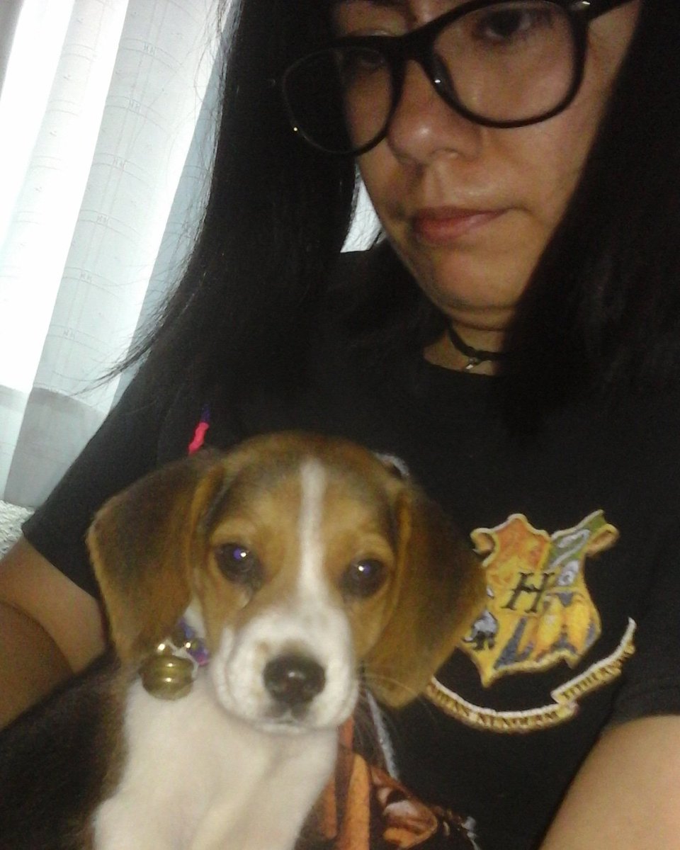 Lorelupin_07's tweet photo. I think that today a puppy wants to read with me.... Creo que hoy alguien quiere #Leer conmigo... #PerritaLectora #Dreamer #LectoraMx #ElCalderoLiterario #DavidAlmond #AlasParaUnCorazón #CurrentlyReading #LecturaActual #Kindle #Book #Libro #BookTuber #Blogger https://t.co/czyWld1XeW