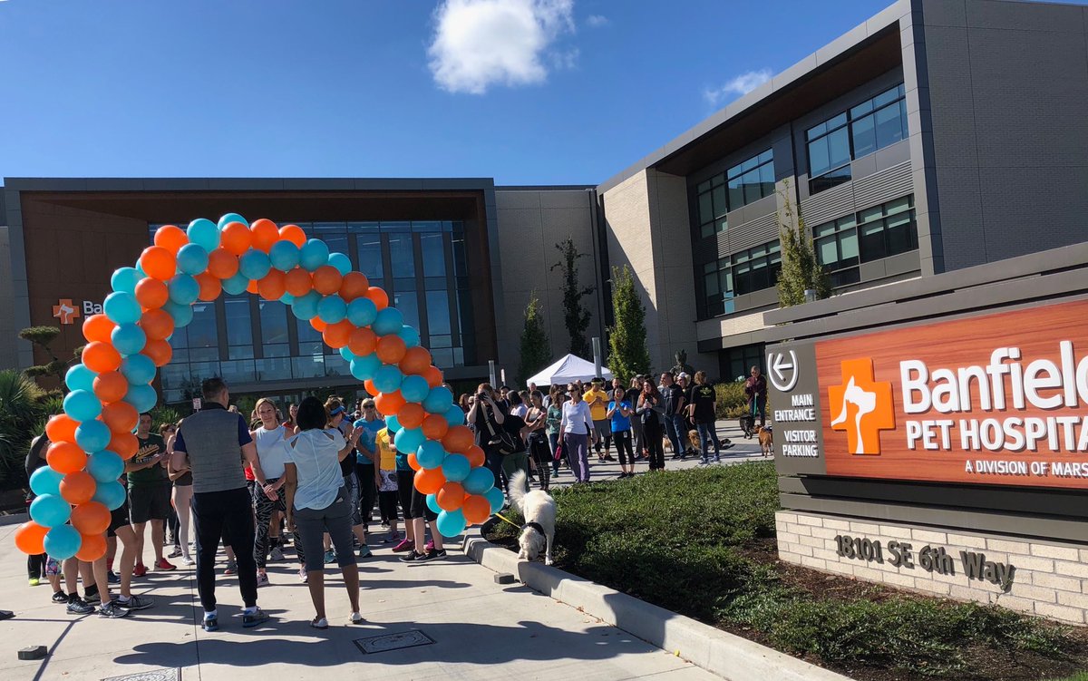 stephneuvirth's tweet photo. Celebrating Health and Wellbeing today at Banfield Pet Hospital ⁦@Banfield⁩ ⁦@BanfieldCareers⁩ @banfieldlife #banfieldlife ⁦@MarsGlobal⁩ ⁦@MarsPetcareUS⁩ #wellness #veterinarians #vettechs #Wellbeing ⁦@scott_mogren⁩ https://t.co/yGWQ95Yqtw