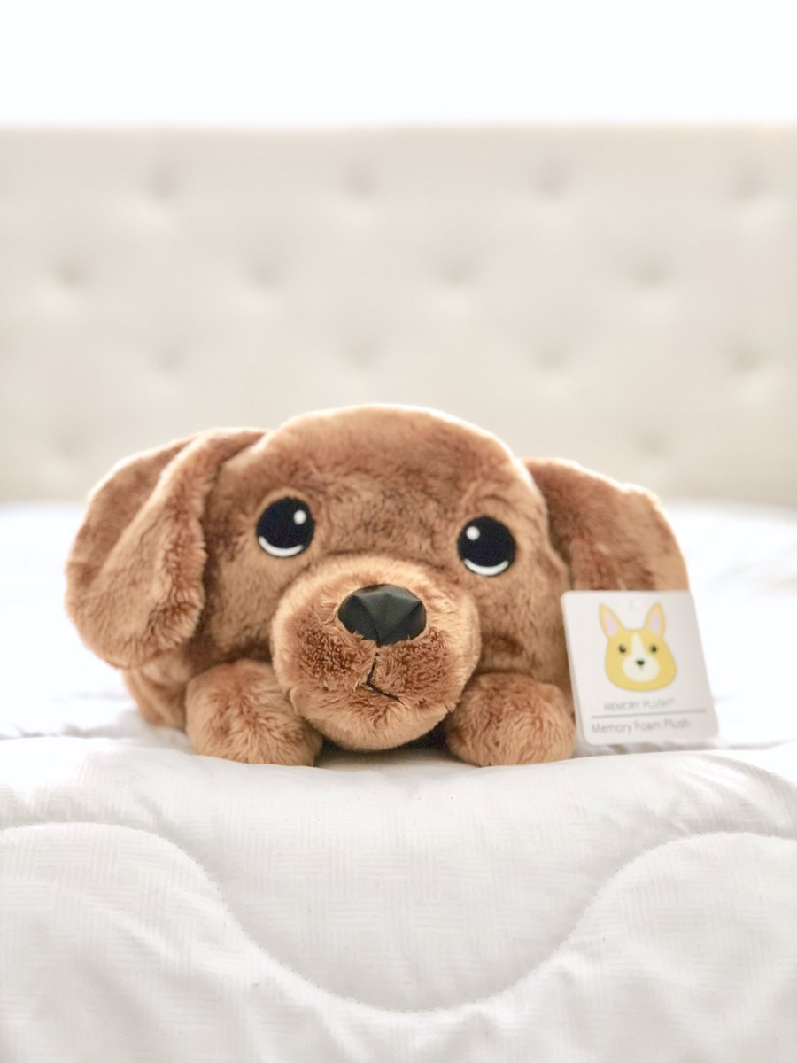 Memory Plush tweet media