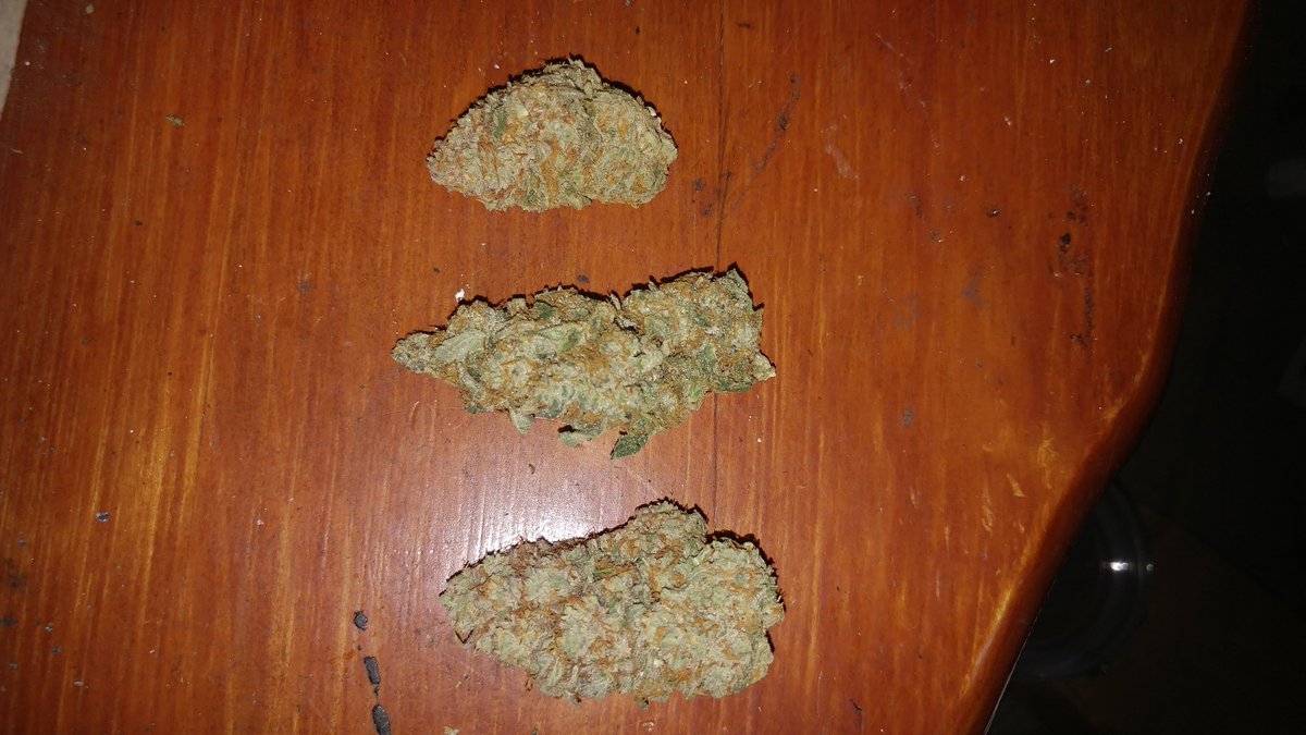 benjamin_esty's tweet image. Top blue tooth
Middle brandy wine
Bottom pie 95
#somemainestrainsfortoday