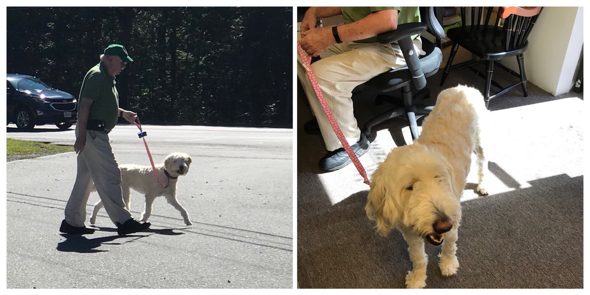 pidgirl's tweet image. These two had to take a break from their afternoon walk to check the progress of @pidguy’s xylene chromatogram which he was monitoring remotely-at his desk #RealTimeChem #separationscience