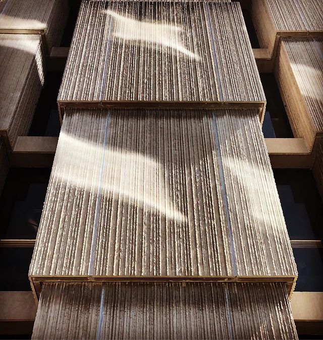 AngieMcMonigal's tweet photo. Great light bouncing off the @uchicago #mansuetolibrary onto the #regensteinlibrary during this afternoon’s @photographyunfolded #photowalk I led around campus.✨
.
.
.
.
.
.
.
.
.
#afterlight #agameoftones #chasingthelight #fatalframes #harmonyofligh… https://t.co/vWIOMoyEO1 https://t.co/vDBFbXwX17