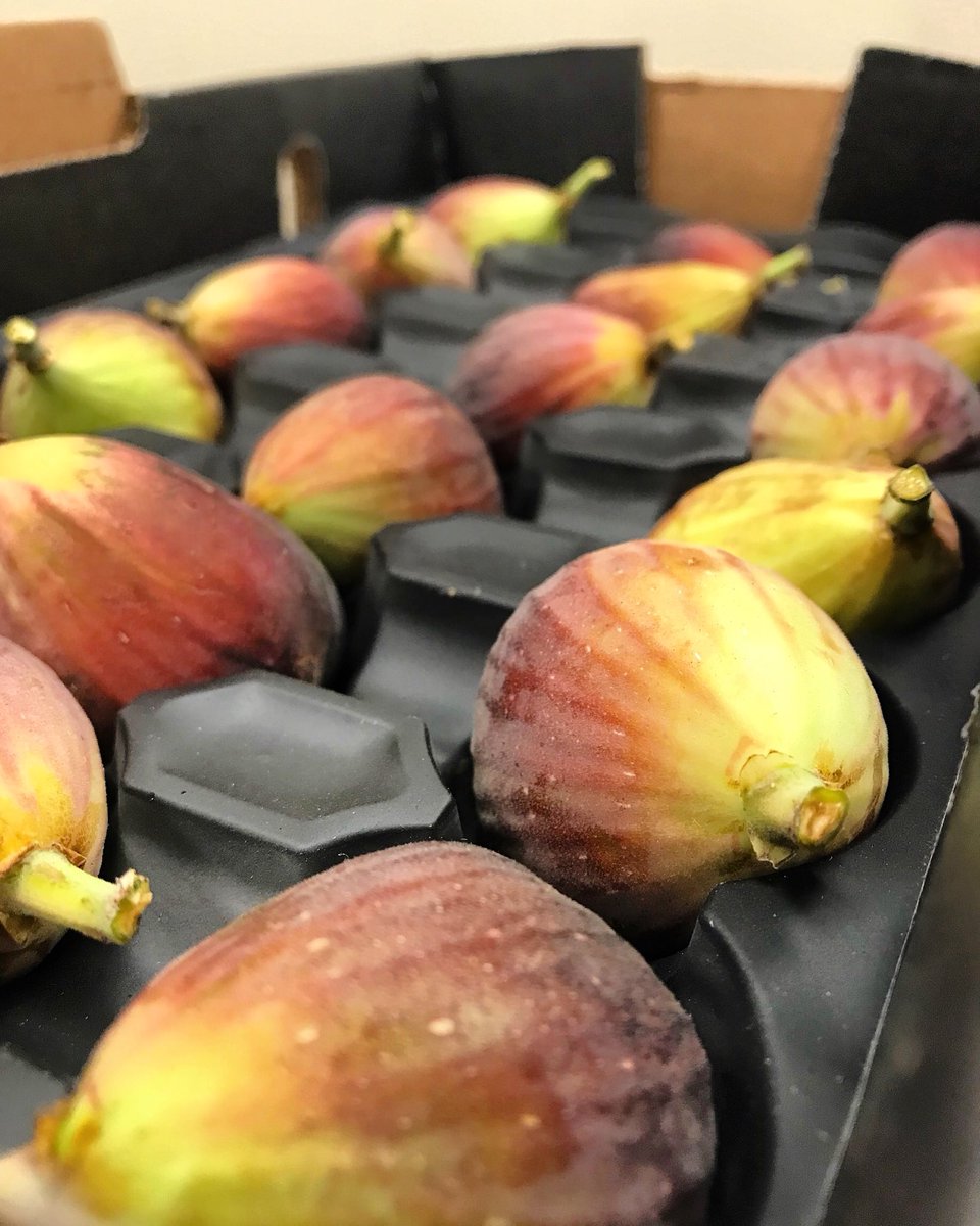 Catania Worldwide On Twitter California Fig Season Is Winding Down But That Just Means Mexican Fig Season Is Around The Corner Figs,Potato Dumplings Recipe
