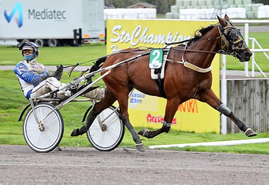 StallHurtig's tweet photo. Chatten gjorde det igen!!! 12 år,tredje årssegern och bara tre månader kvar till pension! Han är min hjälte! Och ingen kör honom så som Petter!! 👌🏻👌🏻👌🏻🙏🙏🙏 https://t.co/87WWdiQiyQ