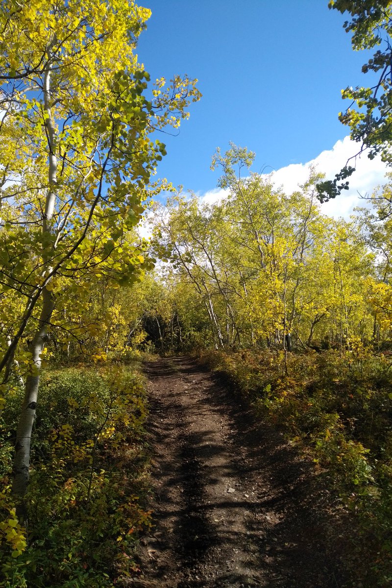 The colours are finally changing