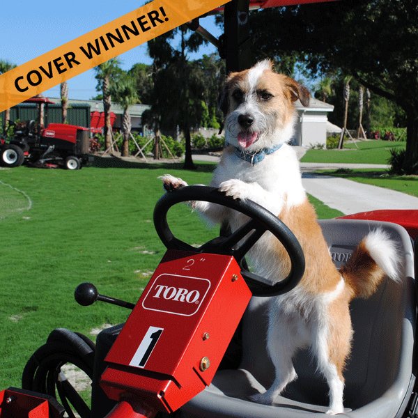 wescoturf's tweet photo. Here's our #RedIronDogs Calendar Contest Winners! We enjoyed meeting your best friends. Congratulations to our winners. Our cover dog is Clifford the Big Red Toro Ruff Mower Dog from @EsteroGolf. All winners at https://t.co/G6RkTbkjaE https://t.co/1LX435IlR0
