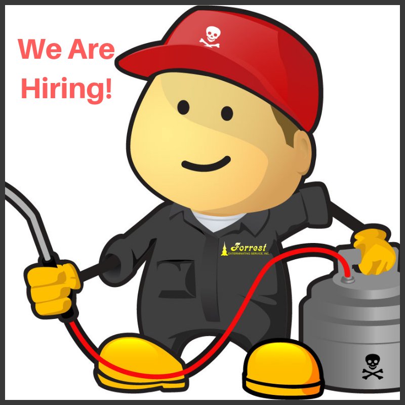 ForrestExterm's tweet image. Are you looking for a job? Do you have termite treatment experience? We are hiring for termite tech in Chesapeake, VA area.  Apply Online here - ow.ly/F4rb30lPq08     #pestcontrol #moisturecontrol #termites forrestexterminating.com