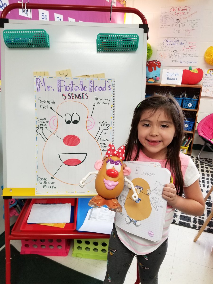 MsDelgadillo7's tweet photo. Scientist observing five senses in the classroom with the help of Mr. and Mrs. Potato head! #thisisburke https://t.co/eQmmDppqLa