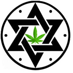 DaMaCollective's tweet photo. Earliest physical evidence of human medicinal cannabis use=hashish paste found on belly of 1,600-year-old (400AD) female skeleton in Israel. Learn more about the amazing herb: https://t.co/fbQr62tc7U #EducateYourself #History #Herbalism  #MMJ #420 #KanehBosm https://t.co/IrHhbhbeUt