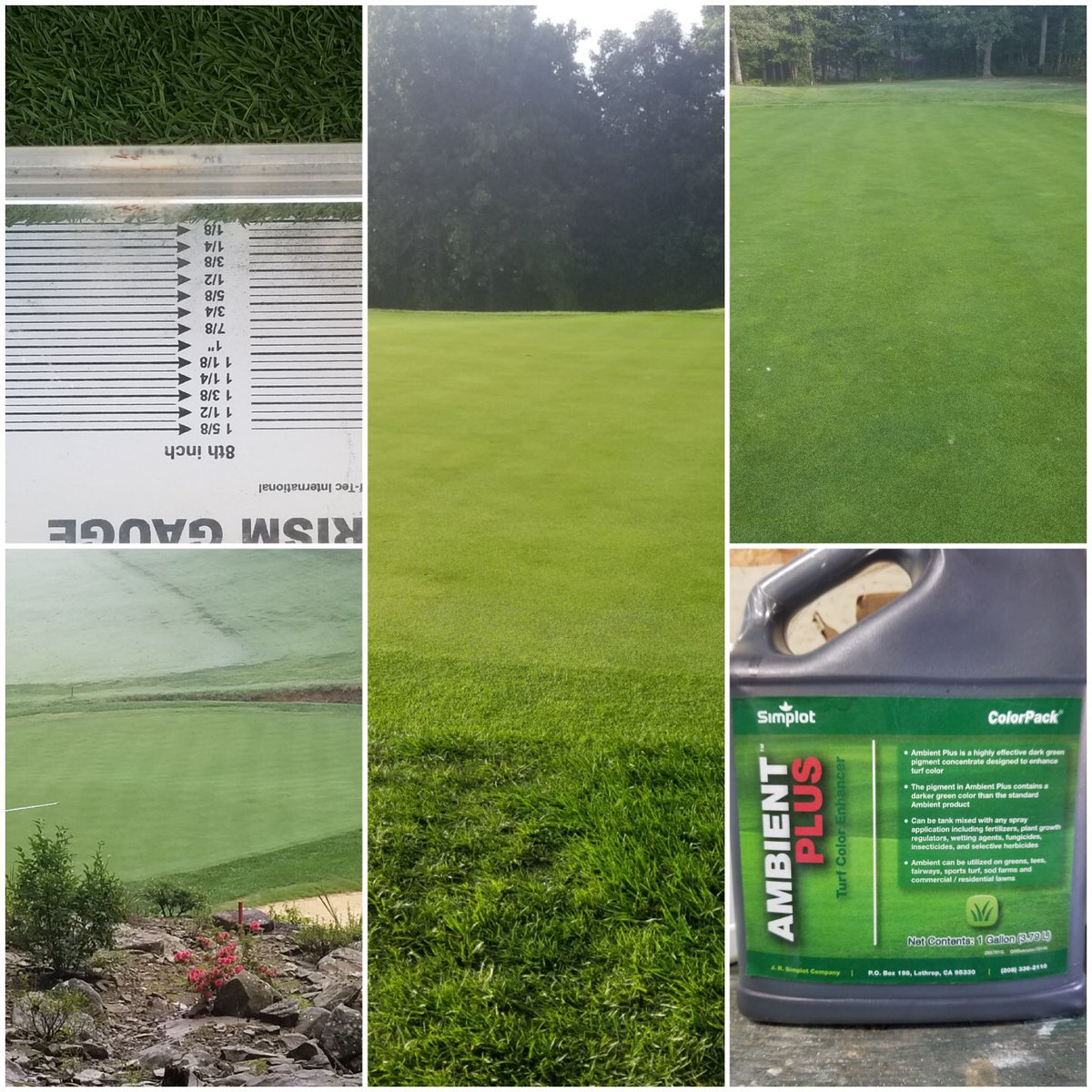 Jeff Higgins tweet media