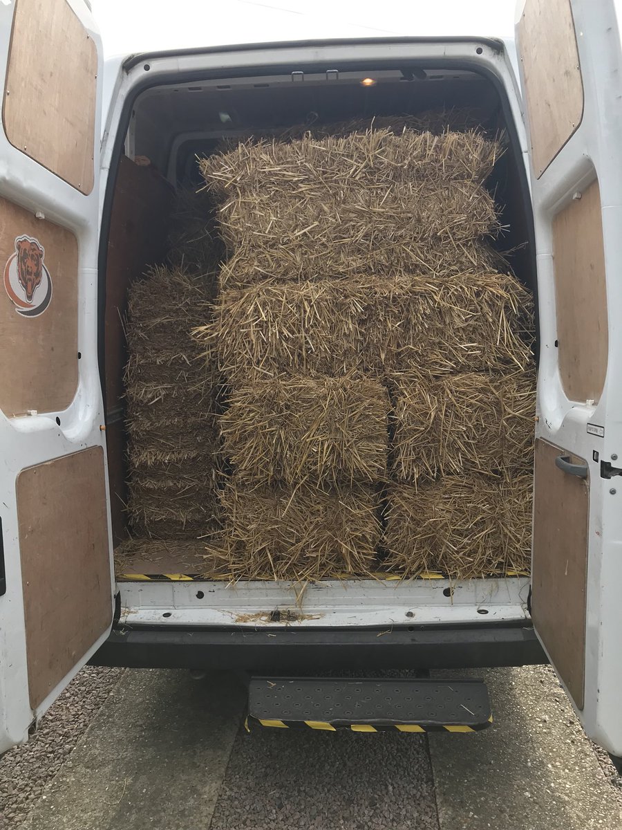 PsP Logistics Ltd tweet media