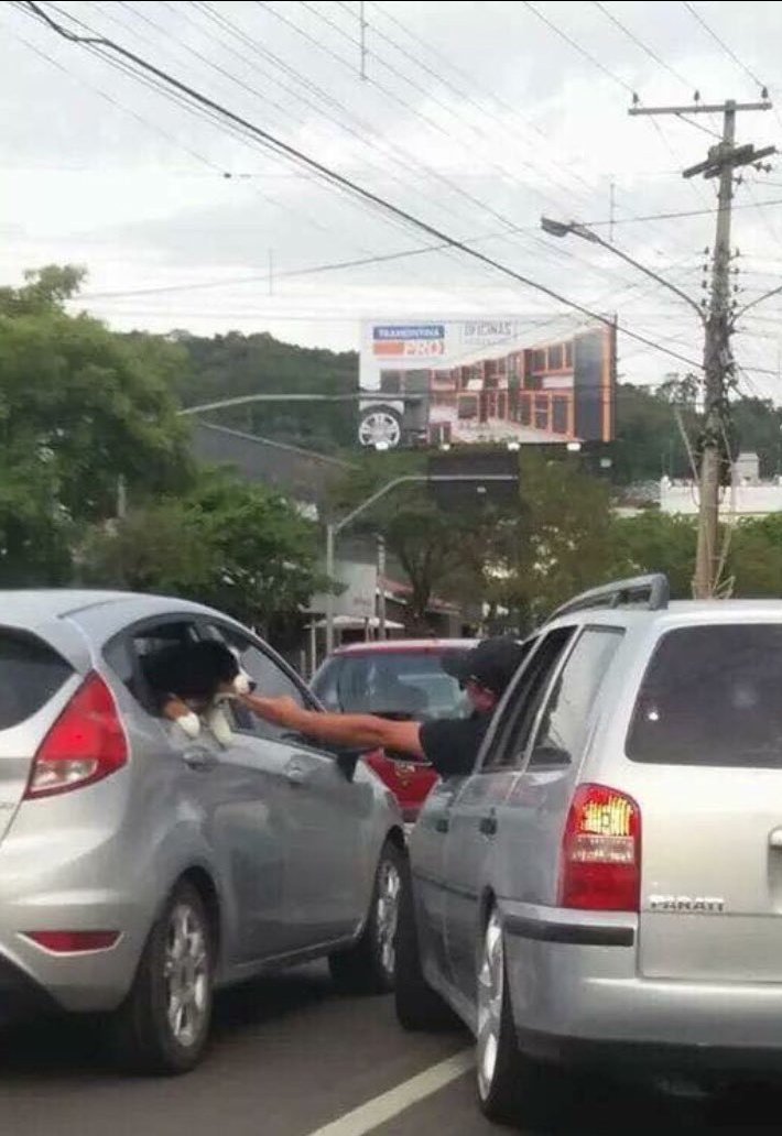JRegid's tweet photo. —¿Te gustan los perros?

— https://t.co/lG9KI9Npje