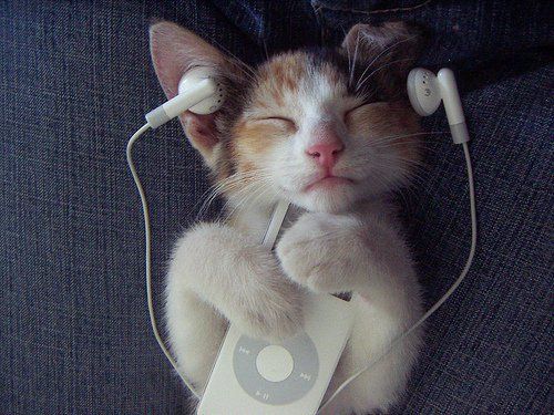 yadaddaughter1's tweet photo. Need something to listen to this weekend?
Snuggle up with our podcast. The first four episodes are available for streaming and download: https://t.co/WGT3Atw9yH
#bookdiscussion #yabooks #youngadultnovels #familybookclub #readingtogether https://t.co/jd4BFDwlTb