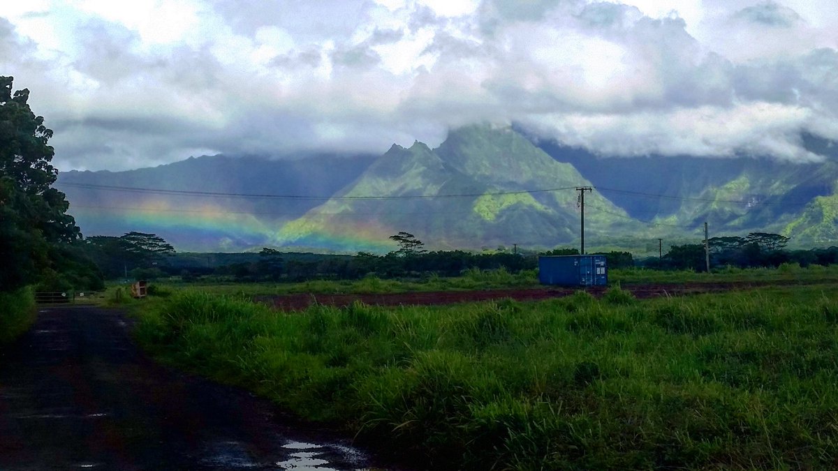 It’s always nice to see a glimpse of a rainbow early morning in the backcountry.🌈🤗✨🙌🏾❤️ #Kauai #tubingkauai #kauaitubing #zipline #kauaizipline #ziplinekauai #lethawaiihappen #vacation #hawaiirainbow #rainbow 📸: John Vegas