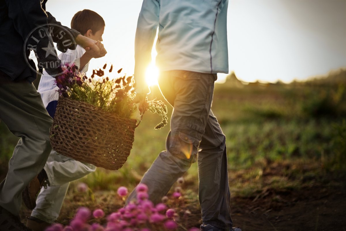 Erickson Stock tweet media