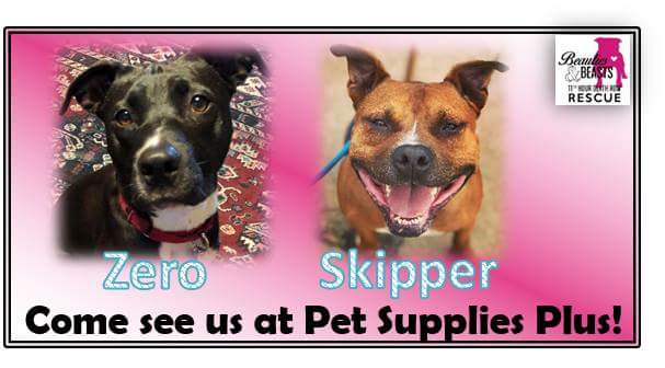 These two adorable pups will be at Pet Supply Plus off of 21st and Rock Sunday from 12pm to 2pm