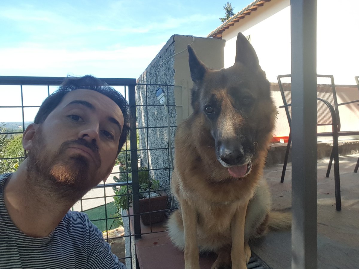 alessio (@alexscheggi) on Twitter photo 