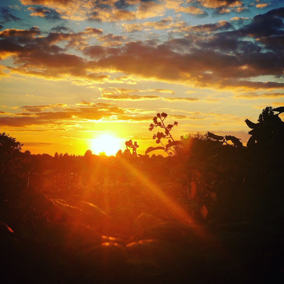 Andooo81's tweet photo. #sunset #zingerwiesen #wunderschön https://t.co/kKGADdGr2Q