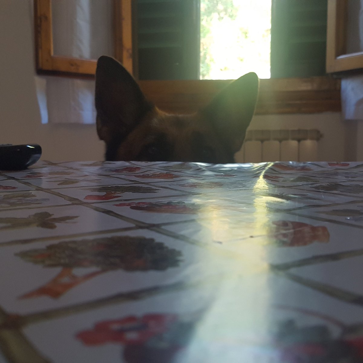 alessio (@alexscheggi) on Twitter photo 