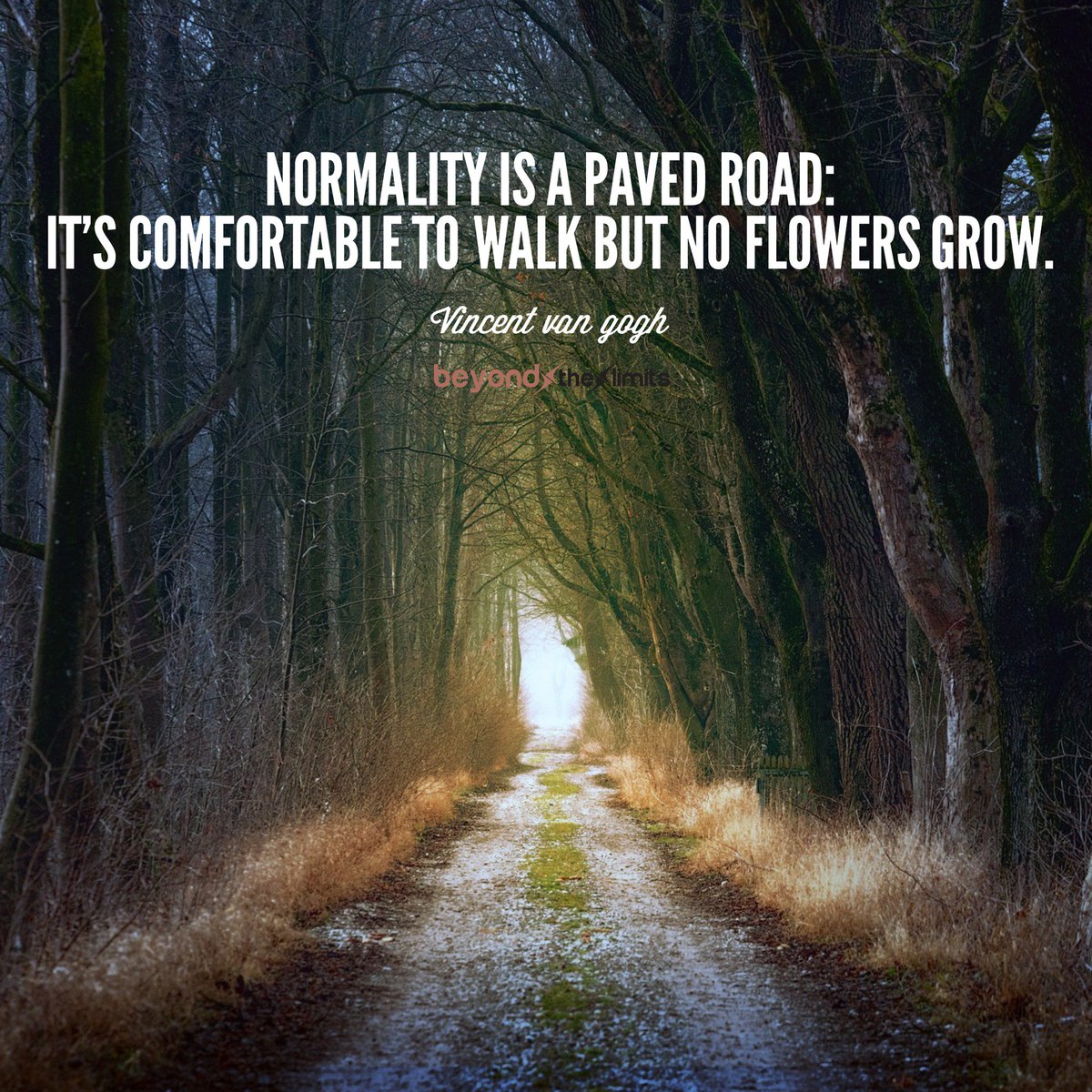 beyondxtxlimits's tweet photo. "Normality is a paved road: it’s comfortable to walk but no flowers grow." – Vincent van Gogh
#quote #motivaion #life https://t.co/mgxZDjfbuj
