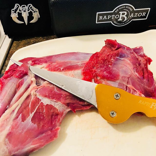 Raptorazor cutting meat for Jerky? ✅ #raptorazor #deerhunting #huntingseason #deerseason #elkhunting #elk #venison #wildgame #huntingknife #biggameskinner   📷: @pacificdothunts