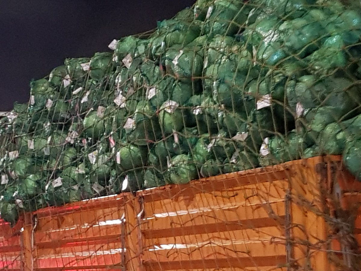 SayEntrepreneur's tweet image. Meet the younger farmer Afrika Mkhangala @Injemdaka.

He Supplies supermarkets in KZN.

#YouthInFarming creating Jobs!