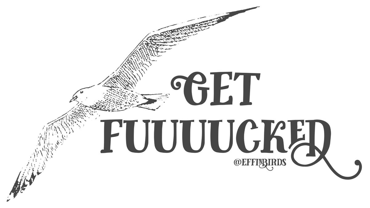 EffinBirds's tweet photo. https://t.co/KfL4eA9wpq