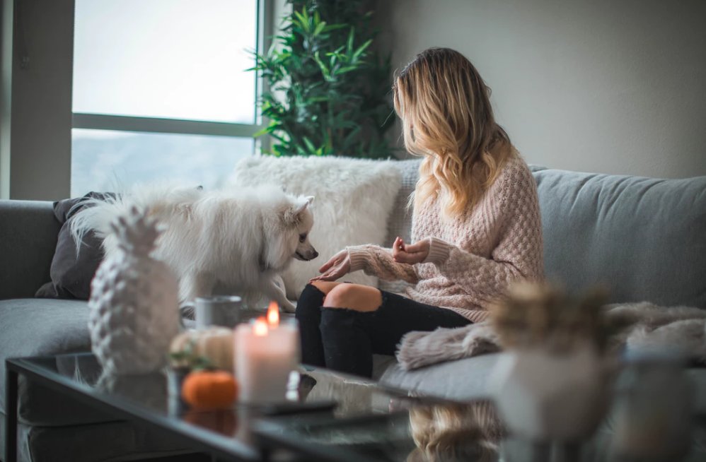 GoingDecor's tweet photo. Let The Weekend Relaxation Begin! #weekend #weekendvibes #puppy #design #homedecor #HomeImprovement #dreamhome #lighting #homegoods #home #light #elegant #contemporary #modern #bathroom #kitchen #exteriordesign #interiordesign #interiors #LED #finditstyleit #HOMERENOVATION https://t.co/l6Vc99nxNE