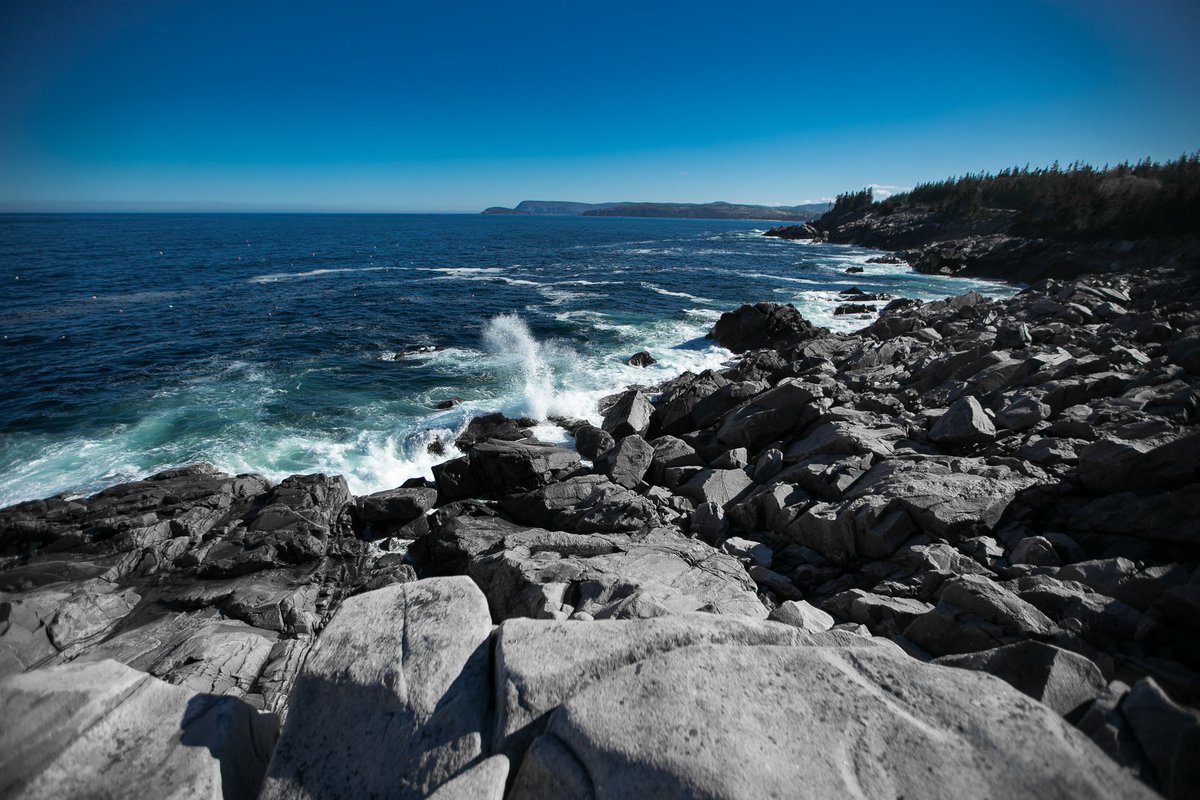 AlkalineSpring2's tweet image. The water of Canada is gorgeous, like the water from Alkaline Springs!

#canadianwater #alkaline_spring #springwater #revelstoke #revelstoked #bcwater #canadianwater #mineralwater #water #luxurywater #healthyliving #healthy #livingwater #alkaline #alkalinelife #alkalineplanet