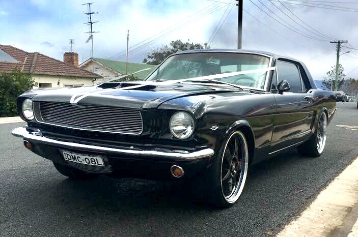 Our mighty Coupe 😎 #mustang #mustangs #mustanggt #coupe #coupelife #1965coupe #mustangcoupe #mustangfanclub #mustanglovers #fordnation #stang #stanggang #sexystangs #stangbangers #classicmustang #blackmustang #musclecar #americanmuscle #muscle #ponycar #pony #car #simmonswheels