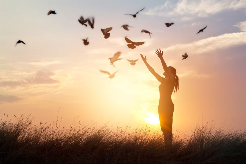 1PerfectBiz's tweet photo. You have the freedom to decide your next steps.If you're considering a franchise, contact us: https://t.co/t1IxB1AGNX https://t.co/ZQdURkeIv0